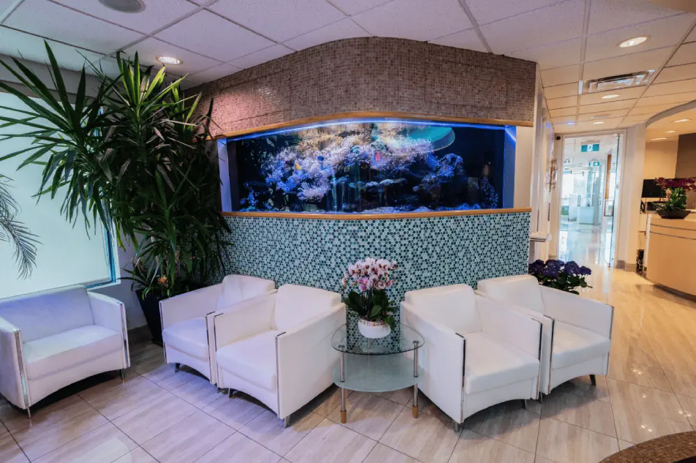 Wilson Dental 3rd Floor Reception Waiting Area